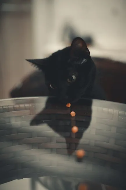 A black cat with green eyes looks intently at a bowl of dry cat food on a glass table indoors.