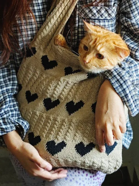 A person in a plaid shirt holds a bag with a ginger cat inside, reading the ingredient label.