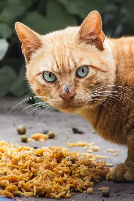 A ginger cat with blue eyes eating food from a bowl on an outdoor wooden deck.