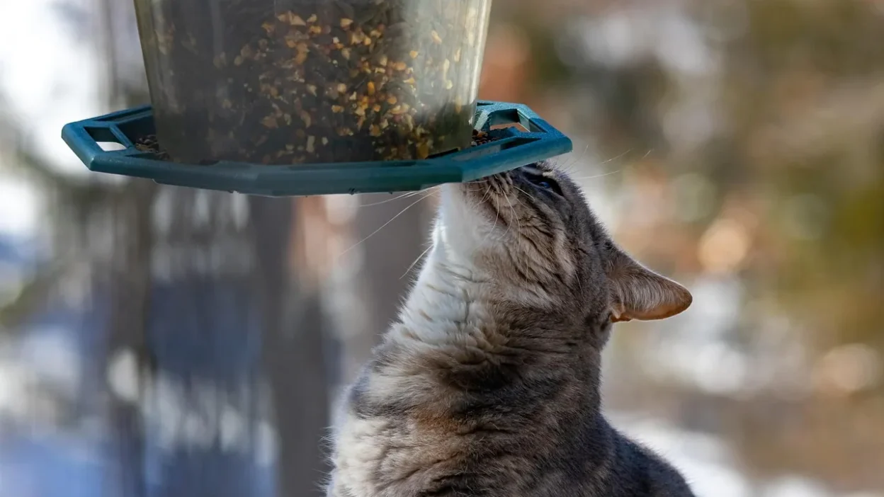 A dog using a food puzzle toy for enrichment feeding, with kibble scattered around.