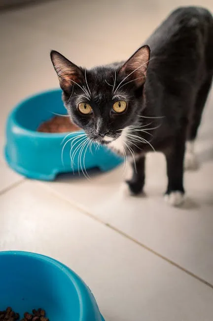 A black cat with green eyes examines a blue bowl filled with brown freeze-dried cat food on a wooden floor.