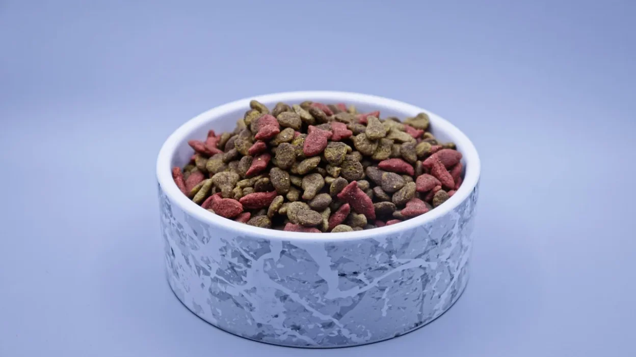 A person using a measuring cup to portion dry cat food into a cat's bowl for consistent feeding.