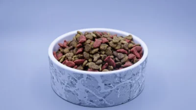 A person using a measuring cup to portion dry cat food into a cat's bowl for consistent feeding.