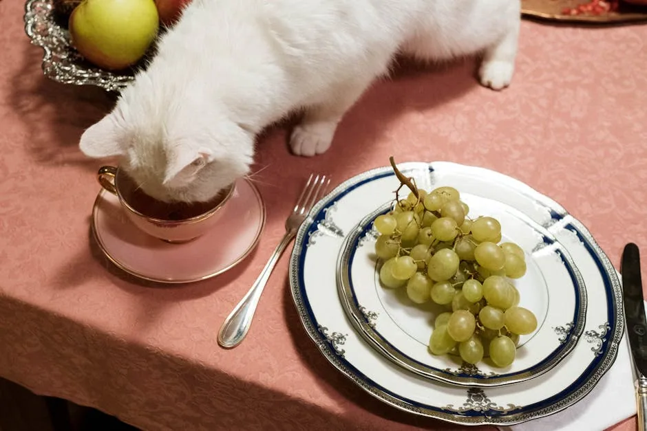 A white cat with blue eyes investigates a small floral teacup on a wooden table next to a plate of grapes.