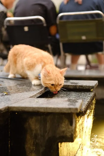 A ginger tabby cat drinking water from a stone fountain in a garden, with blurred green foliage in the background.