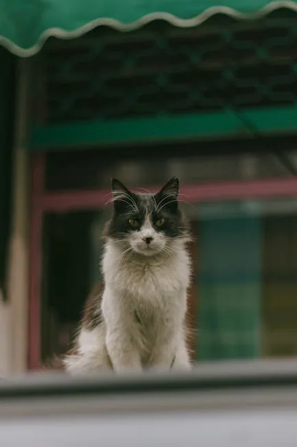 A fluffy brown and white cat sits on a stone windowsill, looking out over historic Istanbul buildings.