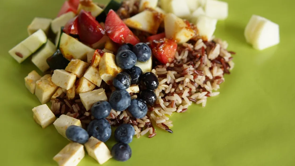 A clean feeding station with a bowl of mixed wet and dry dog food, showing a tidy feeding method.
