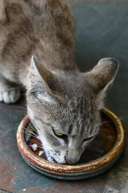 Close-up photo of a tabby cat eating from a white ceramic bowl on a hardwood floor.