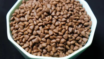 A concerned tabby cat looking at a bowl of new cat food, hesitant to eat it.