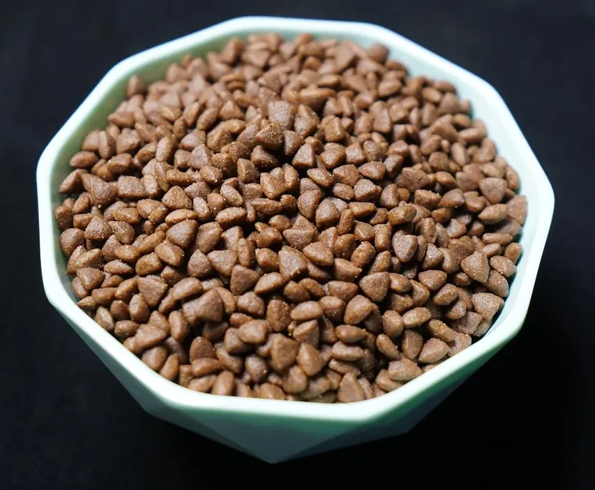 A concerned tabby cat looking at a bowl of new cat food, hesitant to eat it.