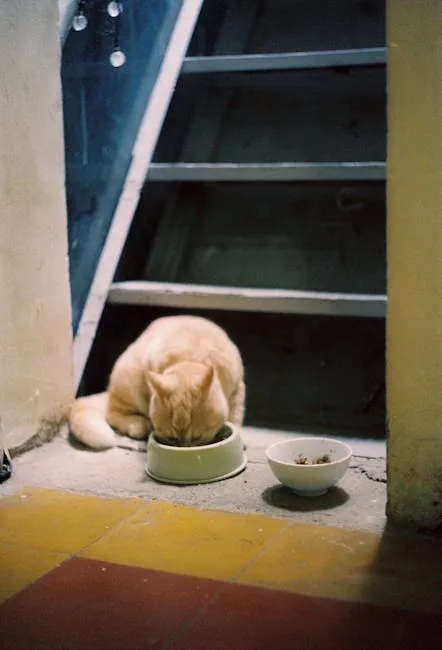 Orange tabby cat eating from a blue bowl on a carpeted staircase landing.