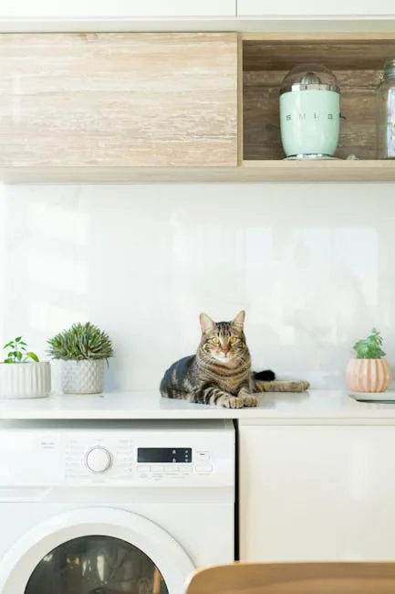 A person holding a tabby cat beside a kitchen counter decorated with green potted plants.