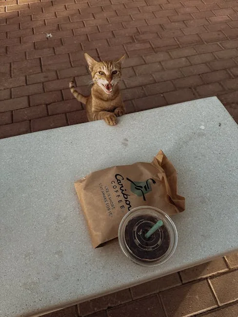 A tabby cat with its head inside a paper bag of cat food on a wooden park bench.