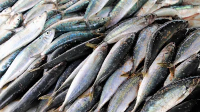 A bowl of wet cat food with gravy, an easy way to add hydration to a pet's diet.